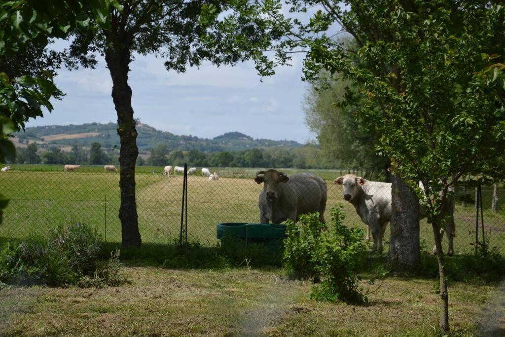 Gite A La Ferme De La Bouriette Revel  Exterior photo